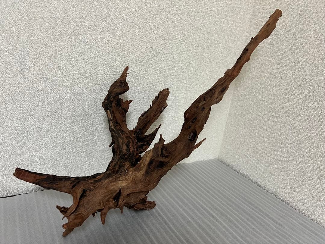 HX-080 流木　ホーンウッド　マシンガンウッド　アクアリウム　ブランチウッド