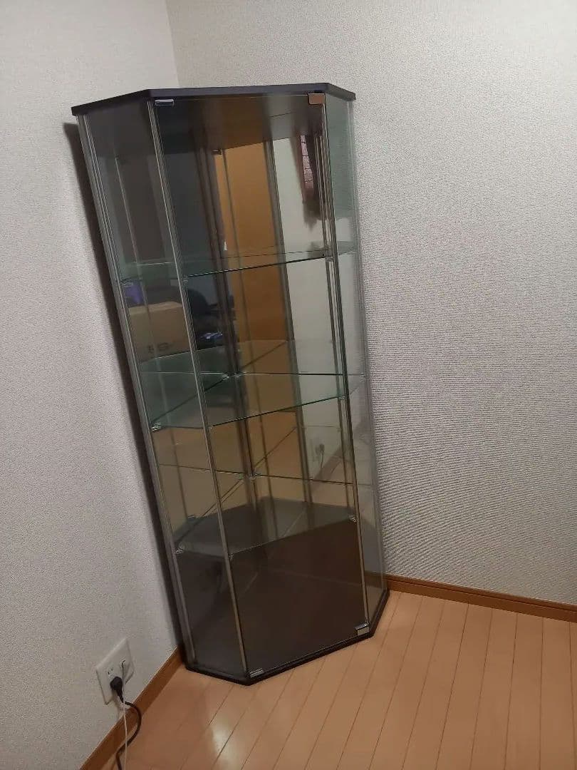 引き取り専用コレクションケース4段 背面ガラス