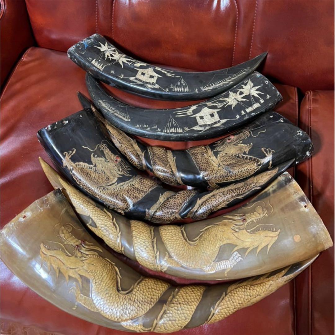 ツノ　角　頭骨　頭蓋骨　ハンティングトロフィー　ハンドメイドパーツ　まとめ売り