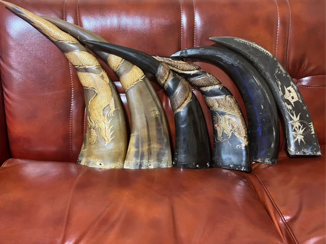 ツノ　角　頭骨　頭蓋骨　ハンティングトロフィー　ハンドメイドパーツ　まとめ売り