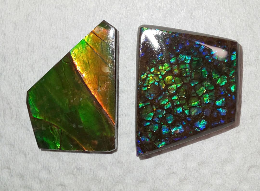 アンモライト ルース 化石 宝石 アラゴナイト