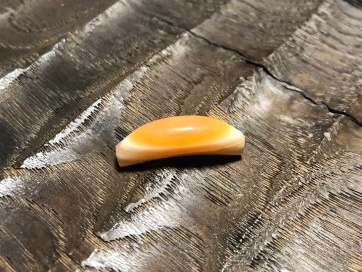 古代カーネリアン　アイビーズ　紀元前