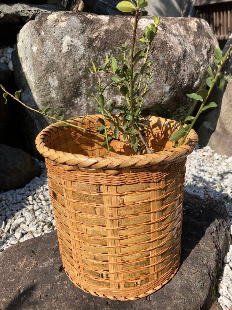 籐製バスケット