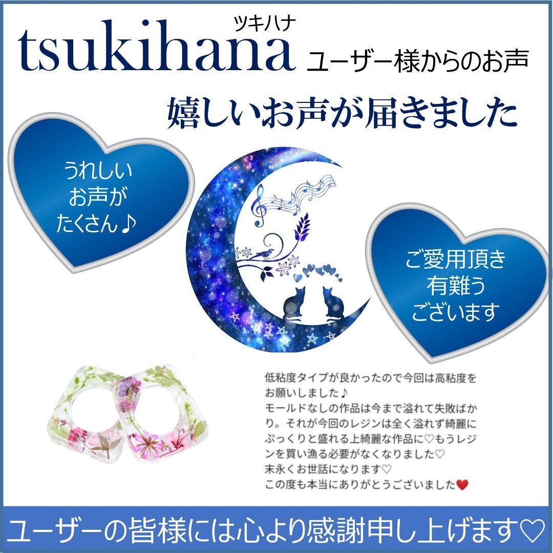 専用レジン液 シエル10本、ユキハナ1本、コーティング剤つき✩.*˚