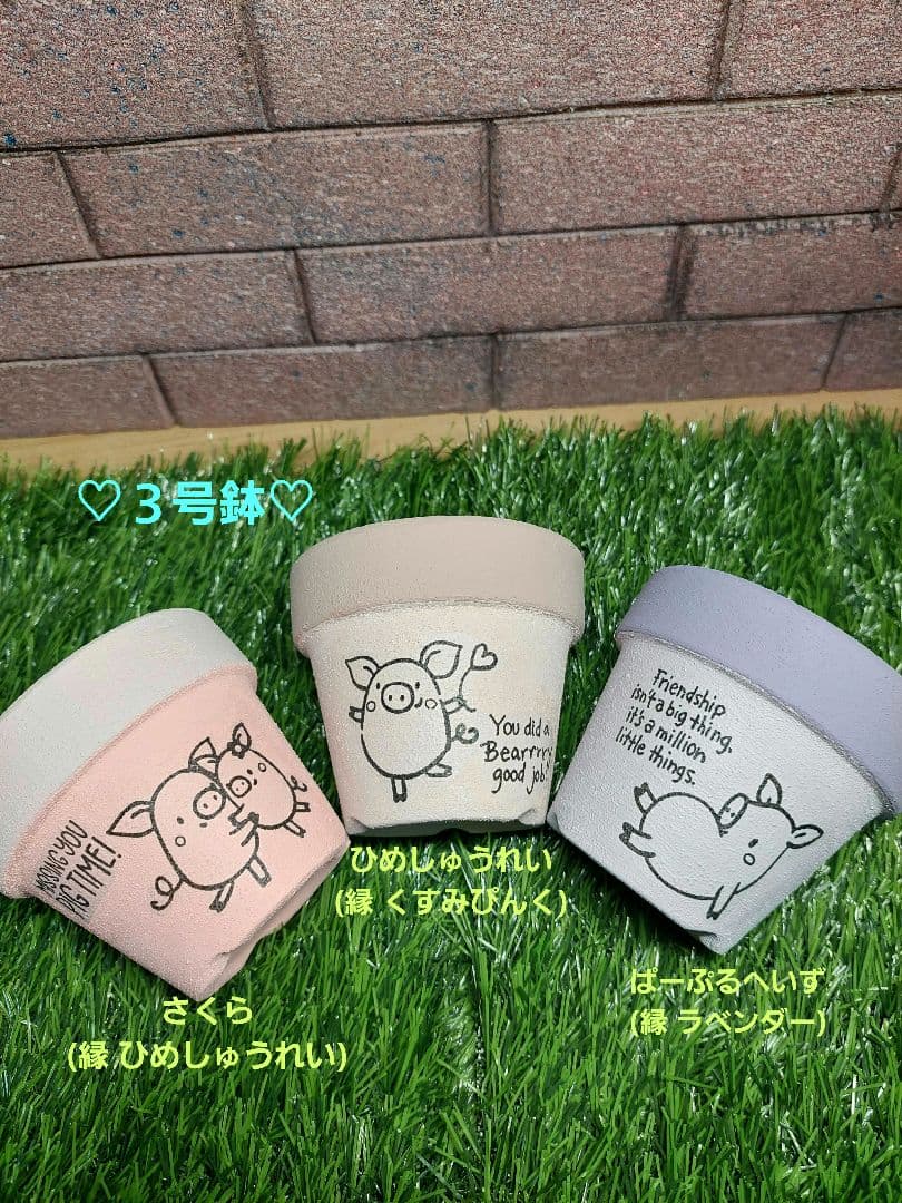 ♡とん様♡ご確認用☆