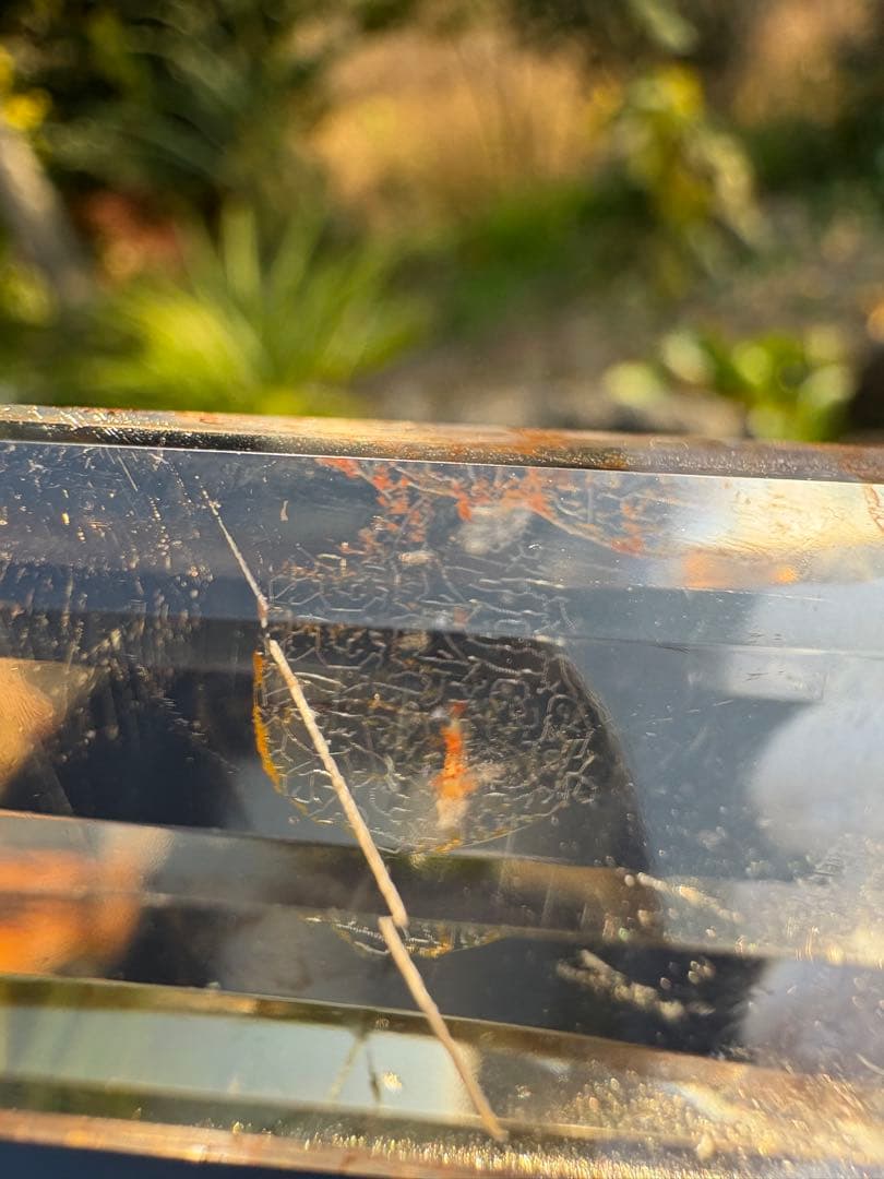 ❤️超レア9cm 虹入り浮く紋　高品質レムリアンシード　12面体ヴォーゲルワンド