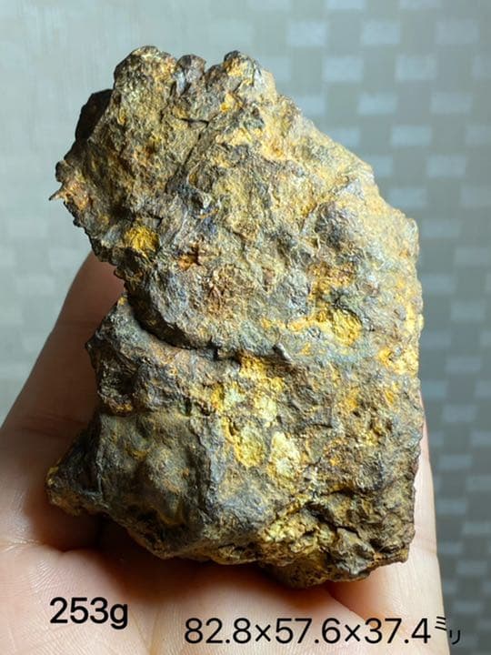 パラサイト隕石　253g セリコ隕石原石　希少　Bigサイズ メテオライト
