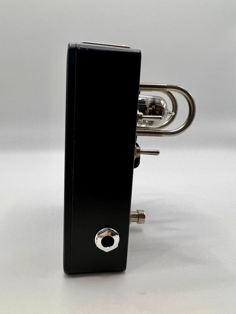 beyond tube pedals acoustic wired 2S エレア