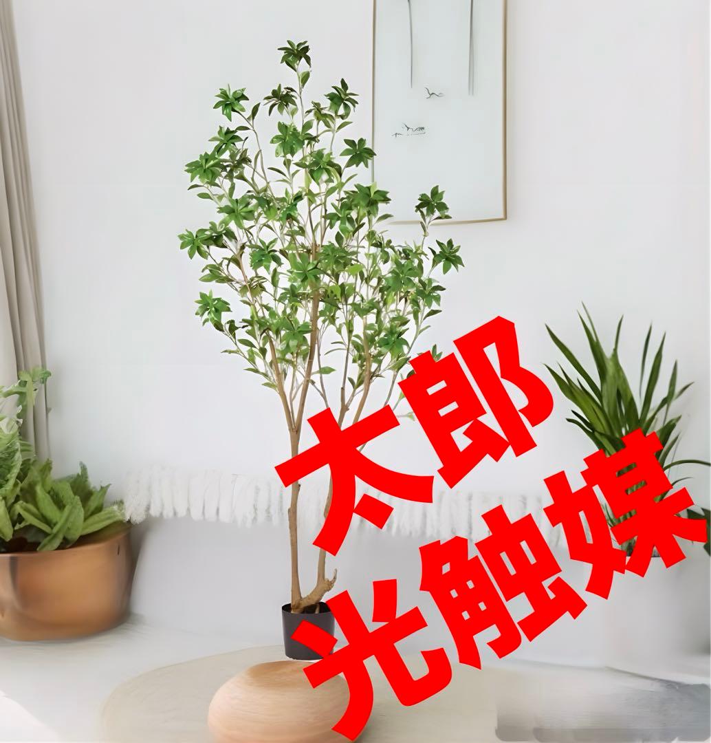 光触媒　人工観葉植物　ウォールグリーン　フェイクグリーン　アセビ215gg