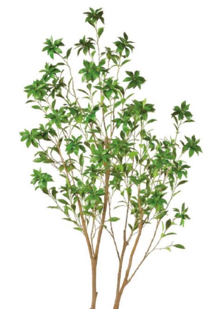 光触媒　人工観葉植物　ウォールグリーン　フェイクグリーン　アセビ215gg