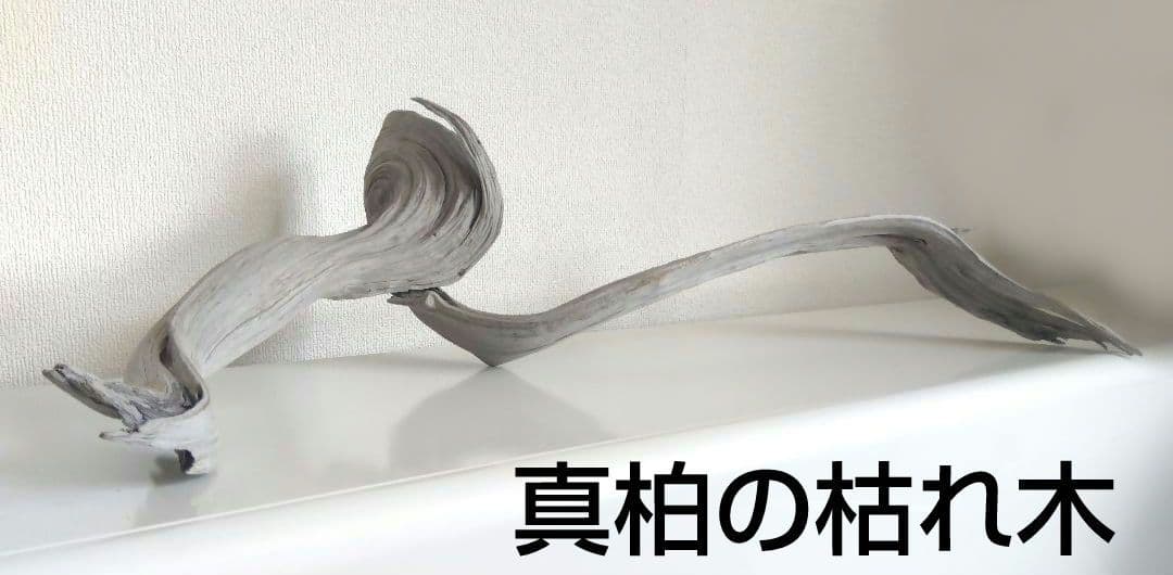 ★大幅値下げしました★真柏の枯れ木(カレボク) 盆栽の枯れ木④　神
