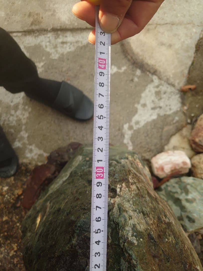 青石 庭石 約200kg 日本庭園 坪庭 庭園 鑑賞石 造園