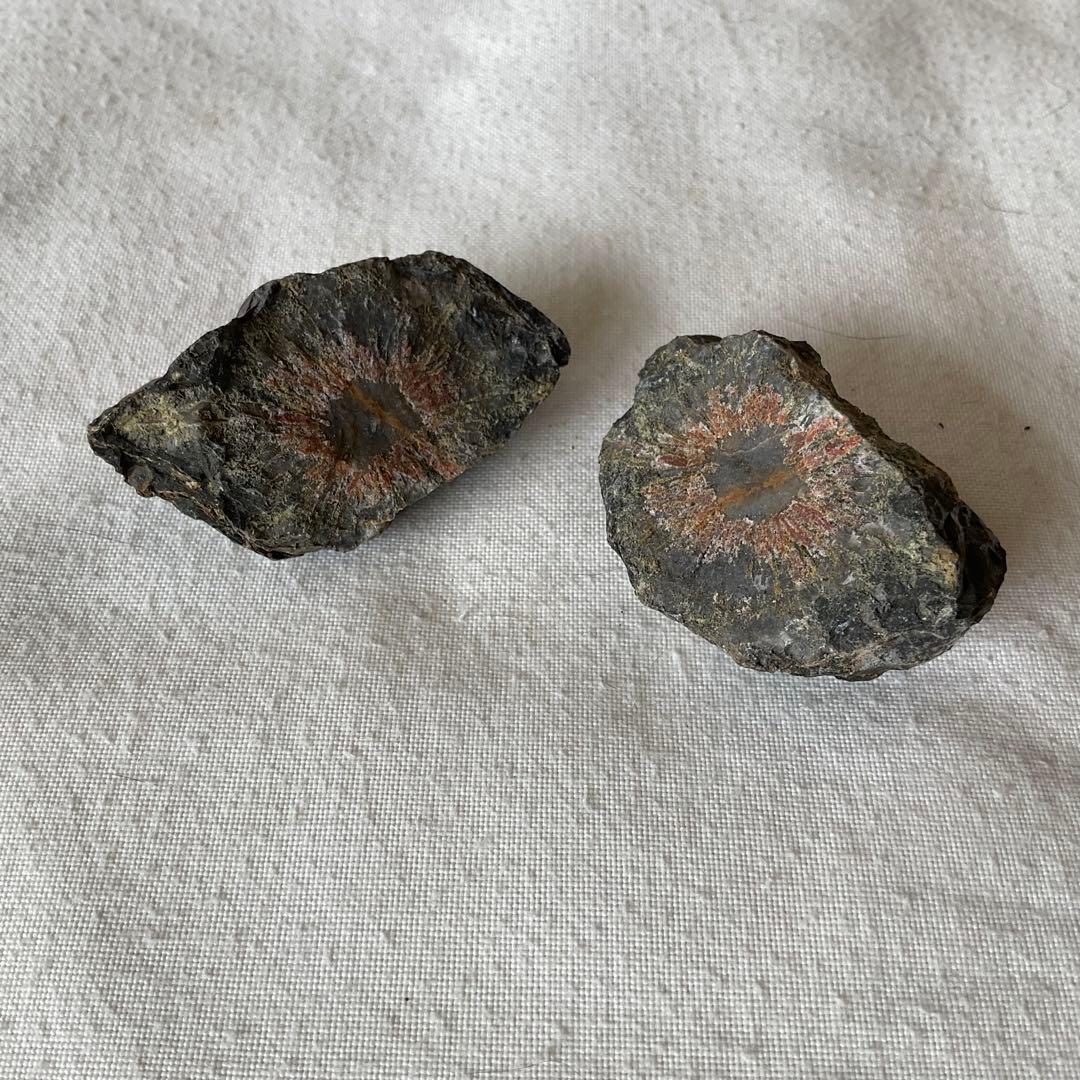 【ペア】【対】菊花石　D93