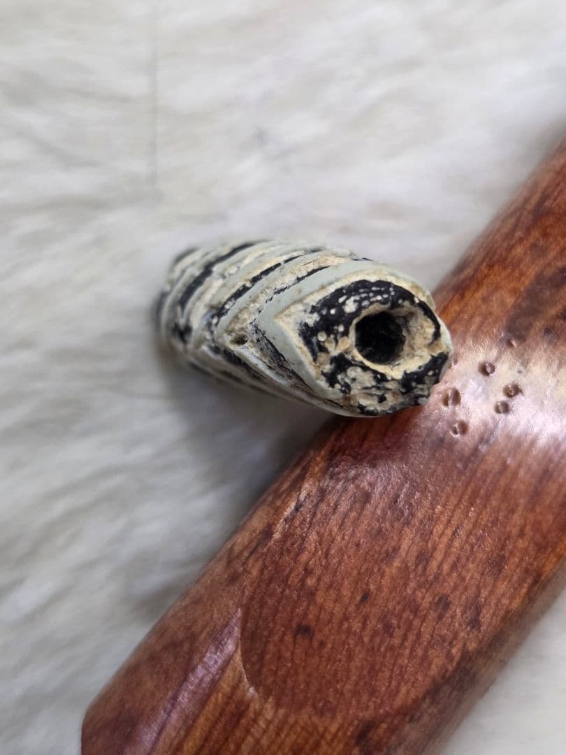 020蜻蛉玉　古いフェザー　黒と白のストライプ模様　！