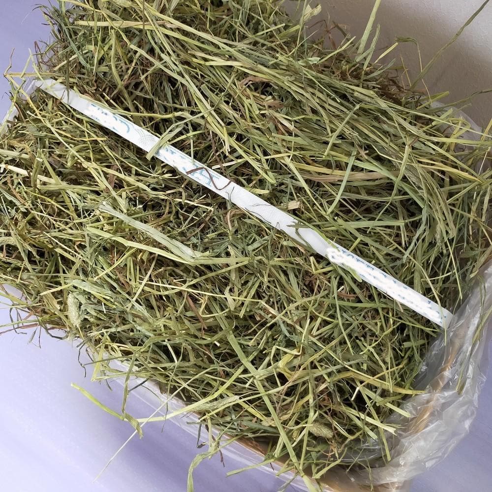 US産 チモシー 100kg ２番刈 ソフトスーパープレミアム