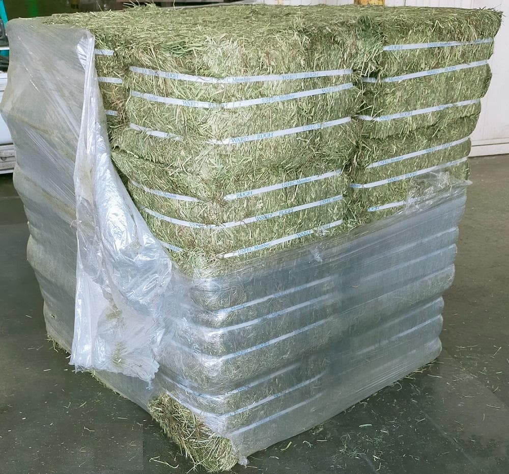 US産 チモシー 100kg ２番刈 ソフトスーパープレミアム