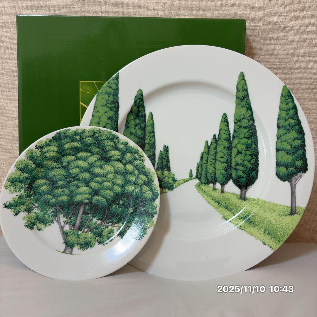 TAITU ディナープレートセットペア（イタリアブランド）