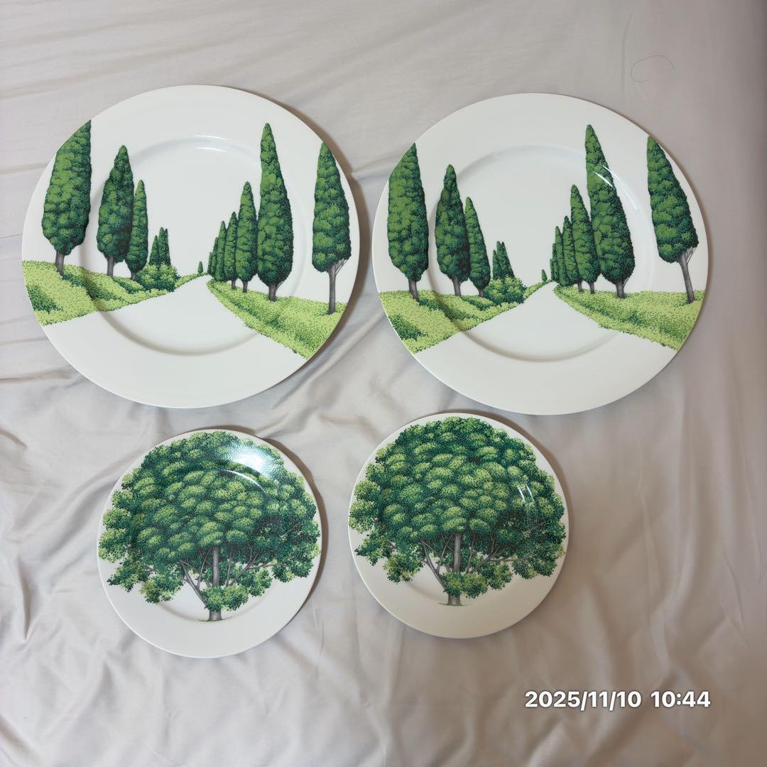 TAITU ディナープレートセットペア（イタリアブランド）