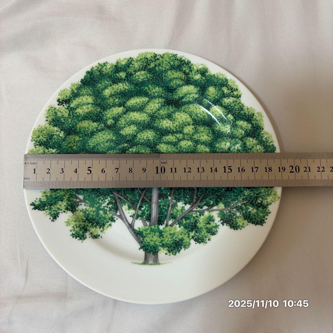 TAITU ディナープレートセットペア（イタリアブランド）