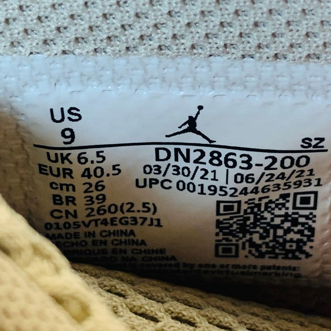 ⭐️未使用品ビリーアイリッシュ×NIKE エアジョーダン15、26cm