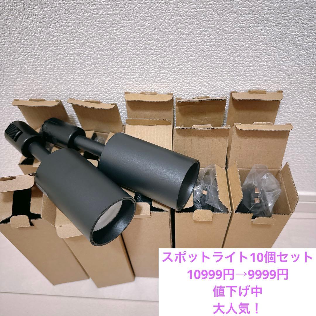 ダクトレール用スポットライト　10個セット　ブラック