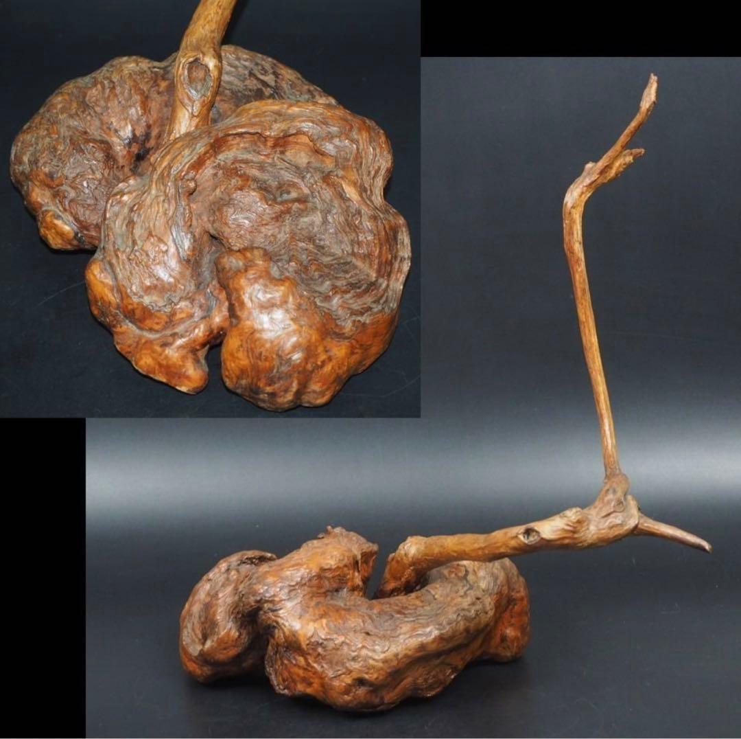 送料無料　★大珍品★天然木古瘤木/瘤杢　神木　高さ40ｃｍ　置物