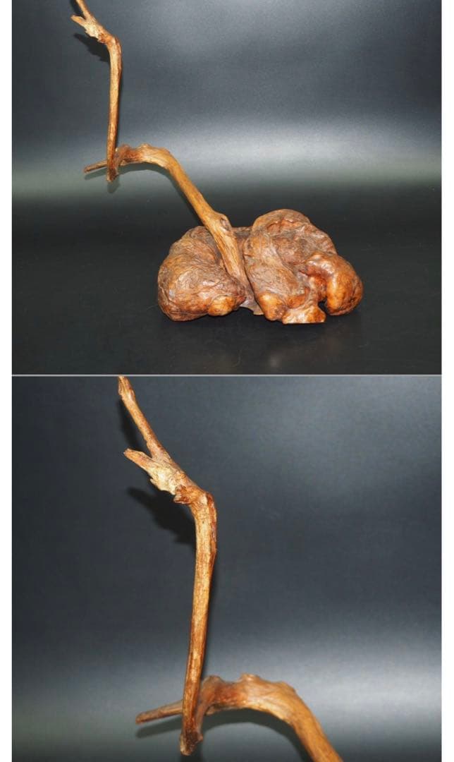 送料無料　★大珍品★天然木古瘤木/瘤杢　神木　高さ40ｃｍ　置物