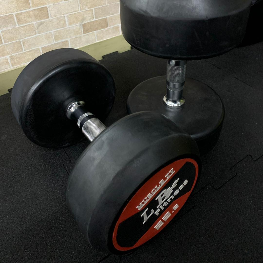 ラバー ダンベル 22.5kg × 2個 セット
