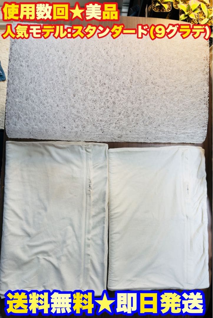 美品★定価3.7万BRAIN SLEEP PILLOW ブレインスリープ ピロー