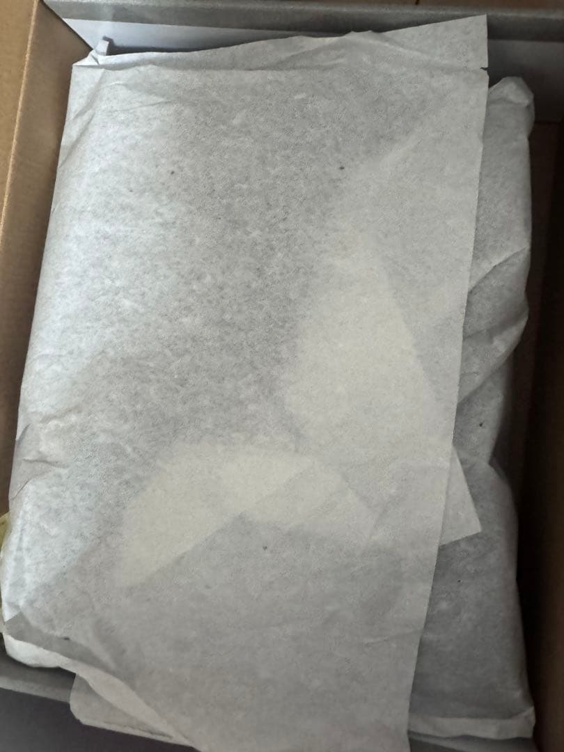 チャコット ダンススニーカー 24.5cmジャズシューズ バレエシューズ