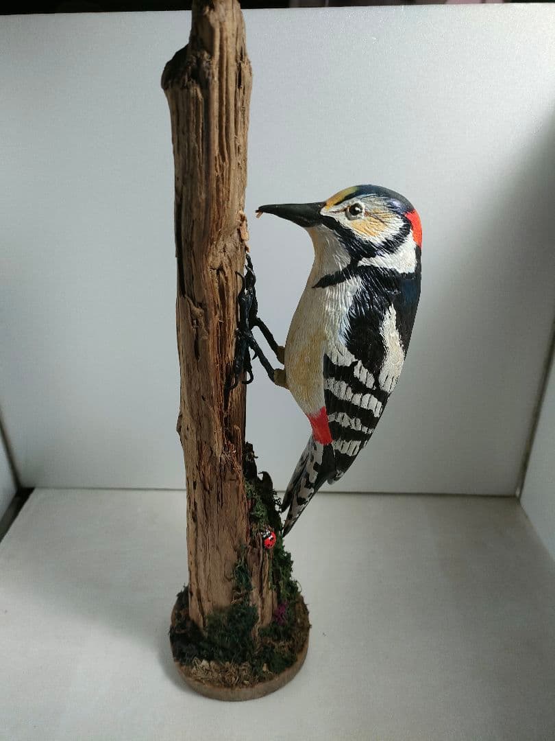 アカゲラ　バードカービング