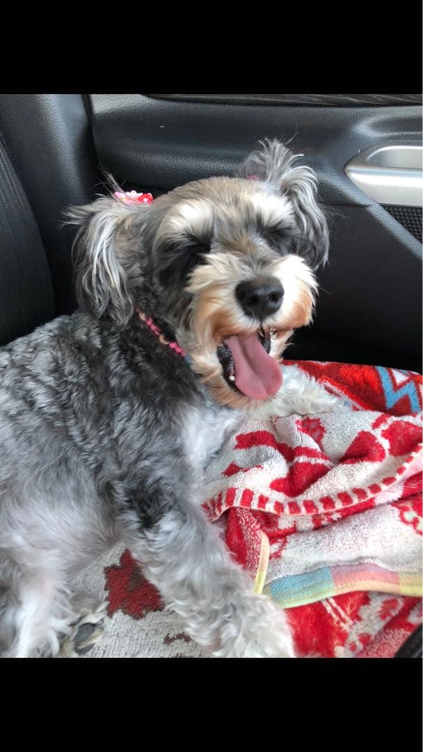 miniさま  確認用　その③