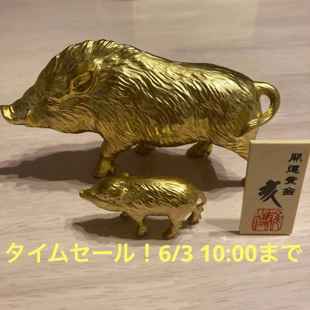 開運黄金　干支の置物　イノシシ親子