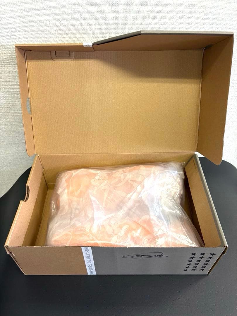 シューズ(男性用) NIKE LEBRON XVIII EP \"MELON TINT\" 28cm