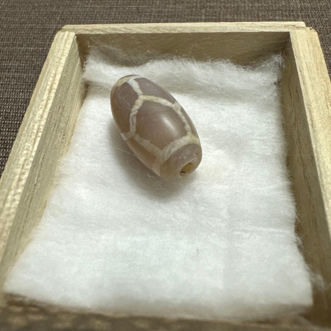 紅朱砂　亀甲EC