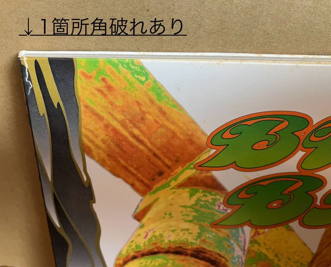 BUDDHA BRAND「病める無限のブッダの世界」完全限定生産SPECIAL盤