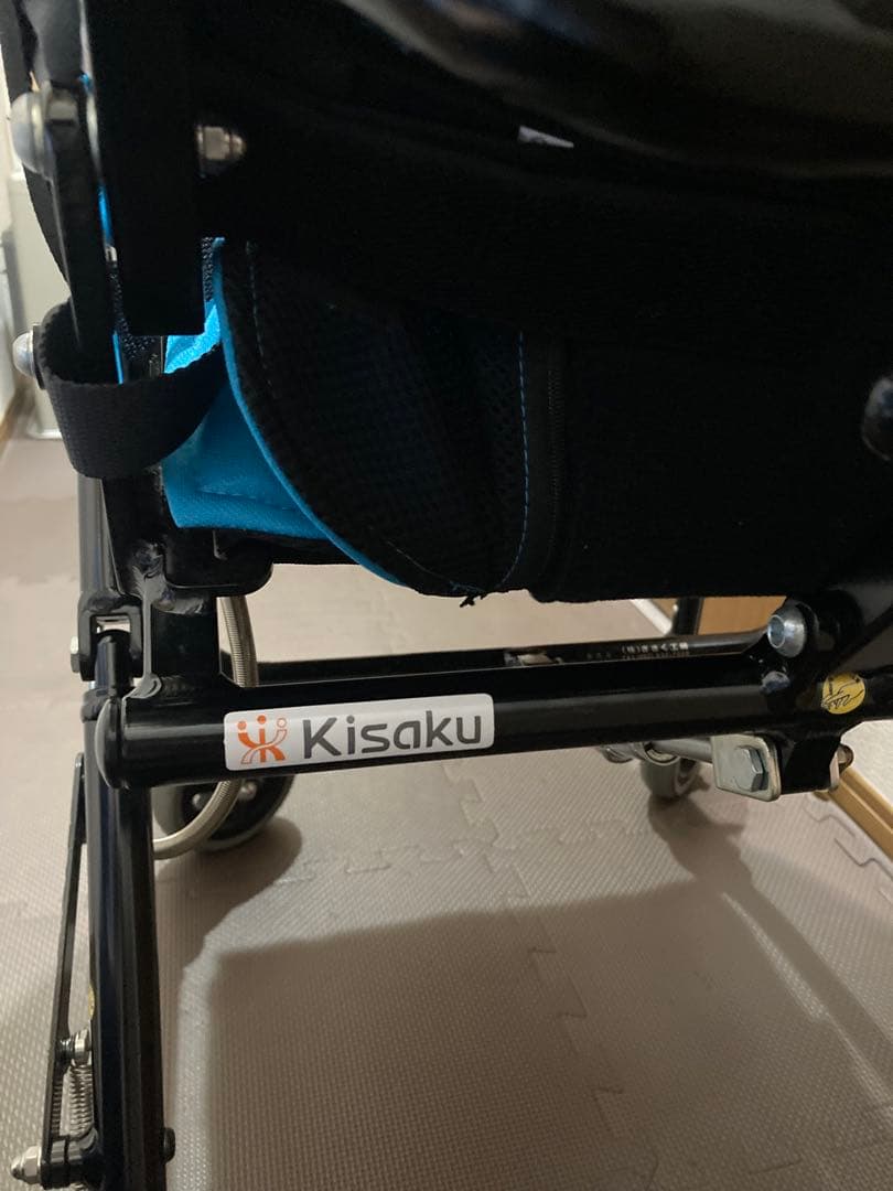 バギー　障害児用