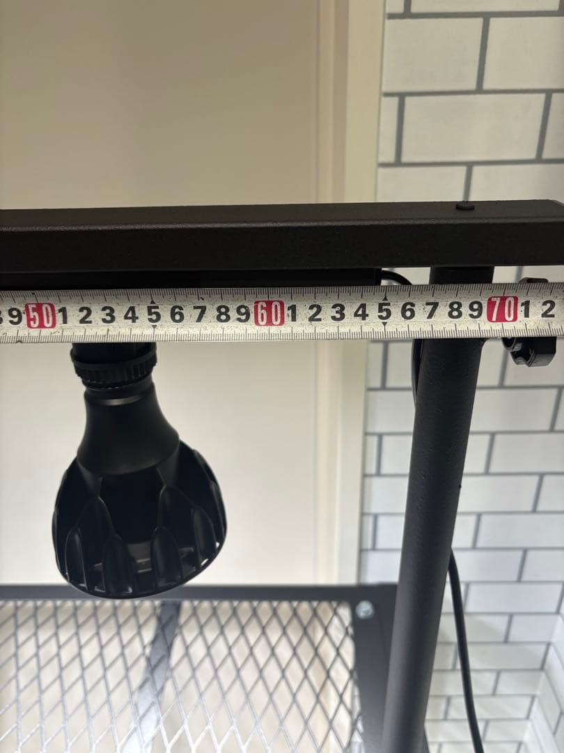 植物棚　アイアン棚　伸縮ライトレール　パキプス　アイアンシェルフ　アガベ