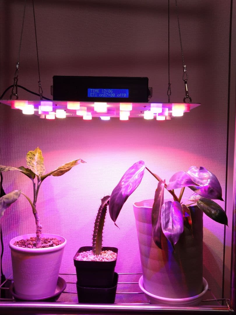 【L7B】多肉&塊根育成　水槽照明　タイマー付LEDライト（DC専用）