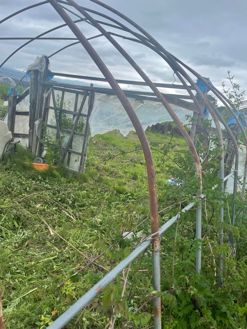 農業用ハウス骨材　タイプDビニールハウス用パイプ20m