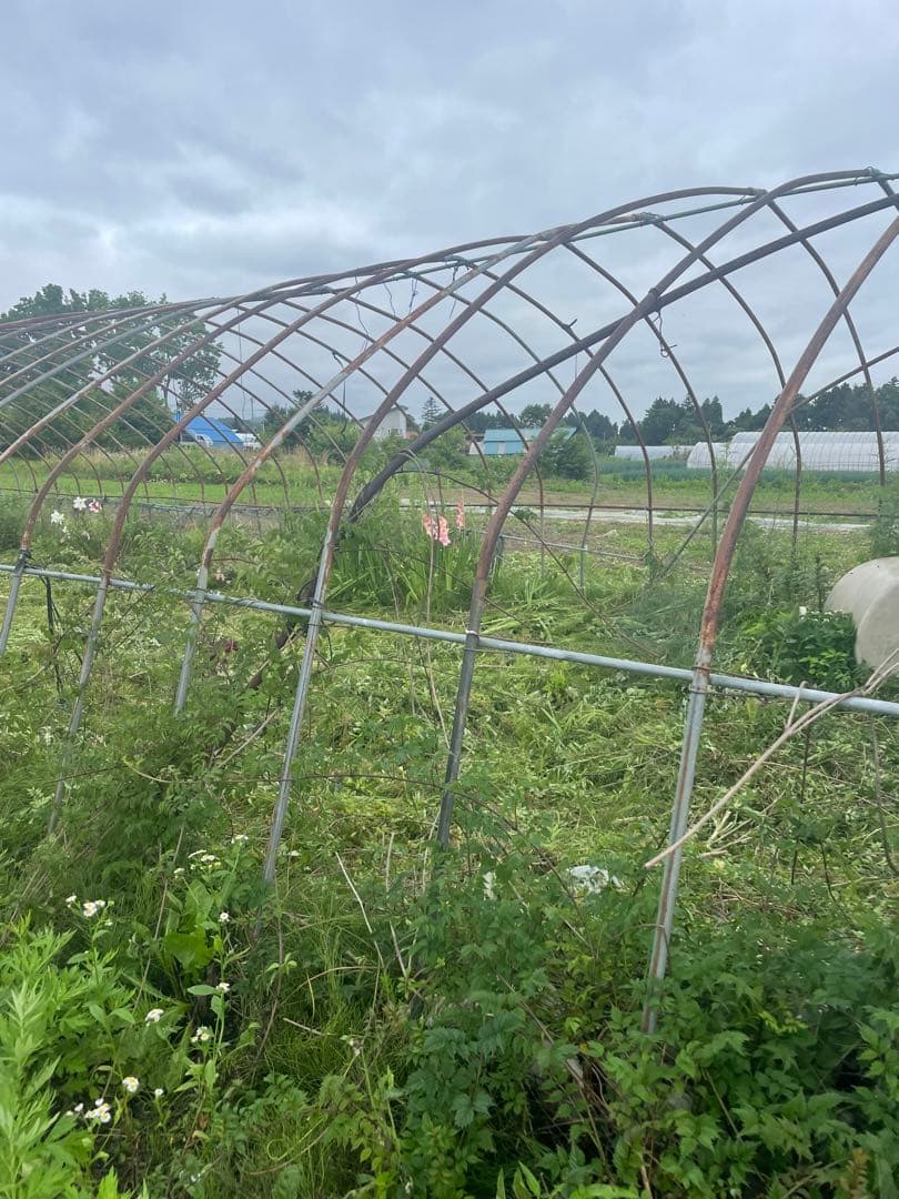 農業用ハウス骨材　タイプDビニールハウス用パイプ20m