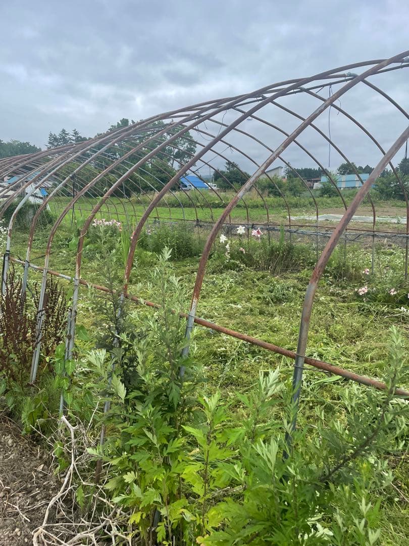 農業用ハウス骨材　タイプDビニールハウス用パイプ20m