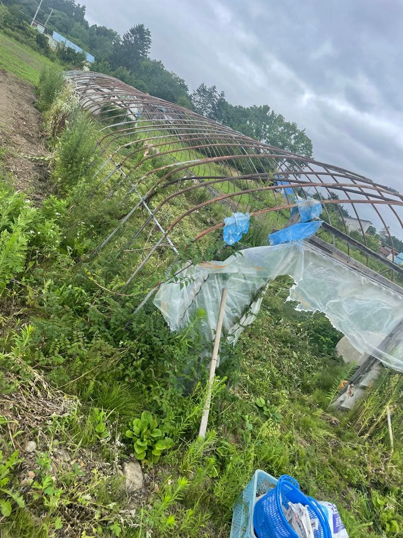 農業用ハウス骨材　タイプDビニールハウス用パイプ20m