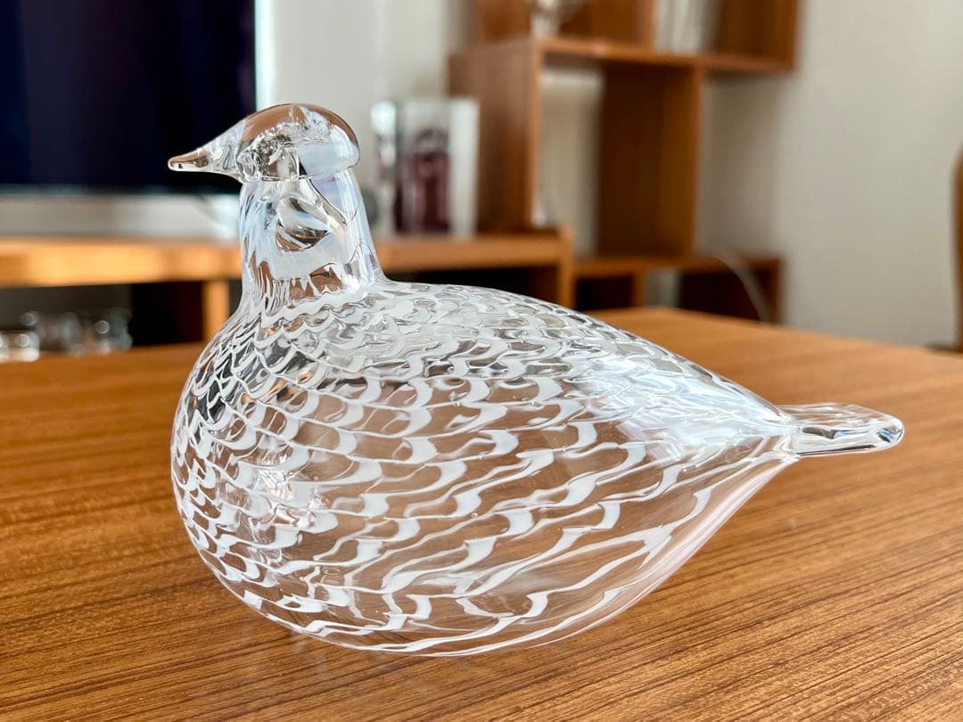 イッタラ バード メディエイタードーブ オイバトイッカ