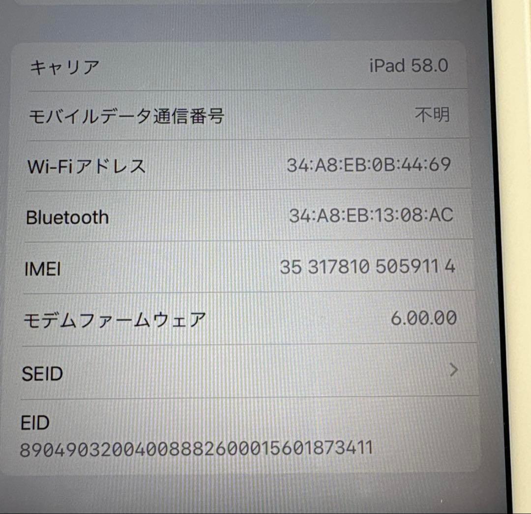 iPad mini5 Wi-Fi+Cellularモデル 64GB SIMフリー