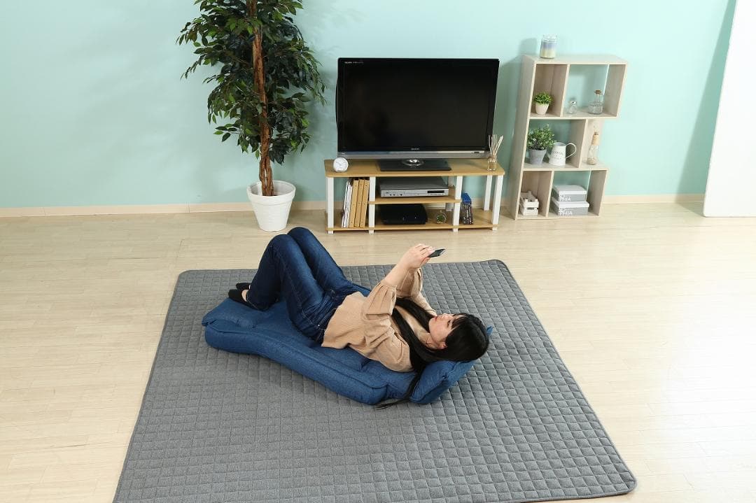 【新品・送料無料】リクライニング座椅子　モコ　ＢＬ