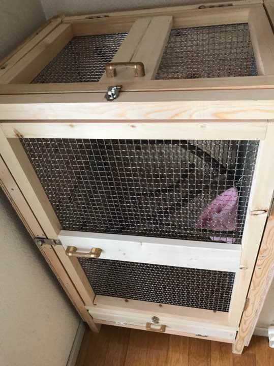 モモンガ ゲージ 小動物