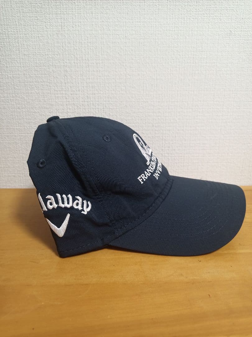 通算メジャー3勝 ラリー・ネルソン選手 2017年JAL選手権 最終日 実着用