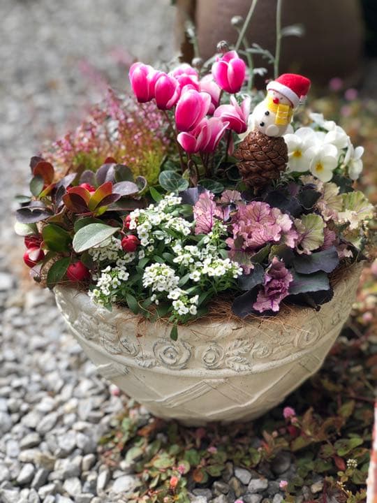 ☆sweetbasket☆季節のお花☆葉牡丹とシクラメンの寄せ植え☆