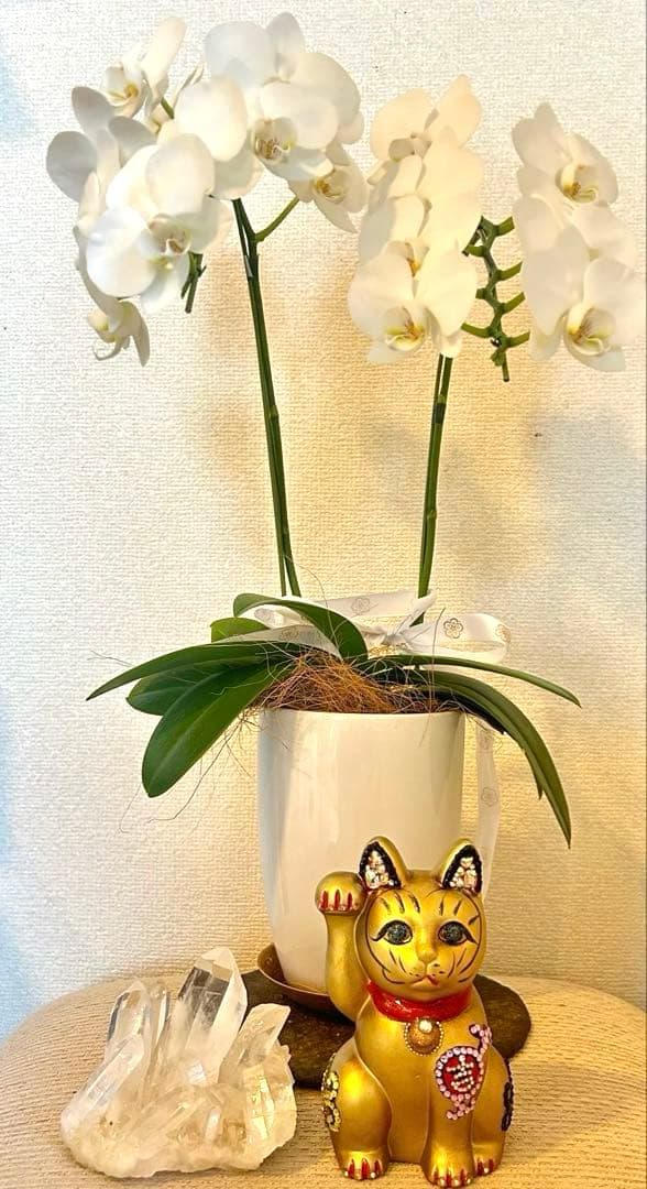 招き猫 デコ スワロフスキー風 金運 開運 商売繁盛 開店祝い　ブラック